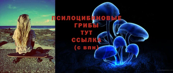 бошки Зерноград